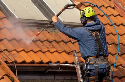 Démoussage et hydrofuge de toiture à Saint-Étienne-du-Bois